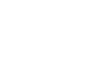 DataNetwork Logo